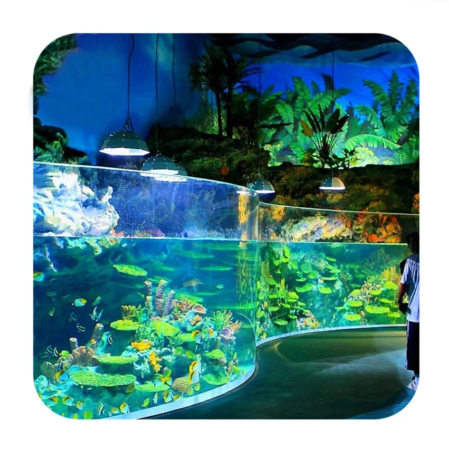 Fish tank aquarium hot sale Custom Transparent Curved Acrylic Sheet For Fish Tank Aquarium
Fish tank aquarium hot sale Custom Transparent Curved Acrylic Sheet For Fish Tank Aquarium