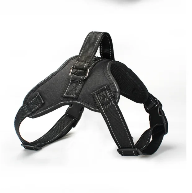 hot sale pet supplies luxury quality unique adjustable training personalized pet collars leashes dog, Customized color
hot sale pet supplies luxury quality unique adjustable training personalized pet collars leashes dog, Customized color