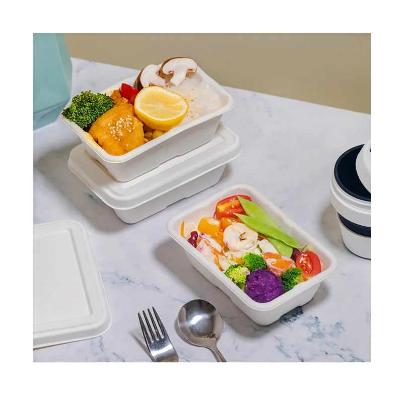 Sugarcane Bagasse Tableware Paper Lunch Box Disposable Paper Lunch Trays for Schools, Black, white, red, green or customized
Sugarcane Bagasse Tableware Paper Lunch Box Disposable Paper Lunch Trays for Schools, Black, white, red, green or customized