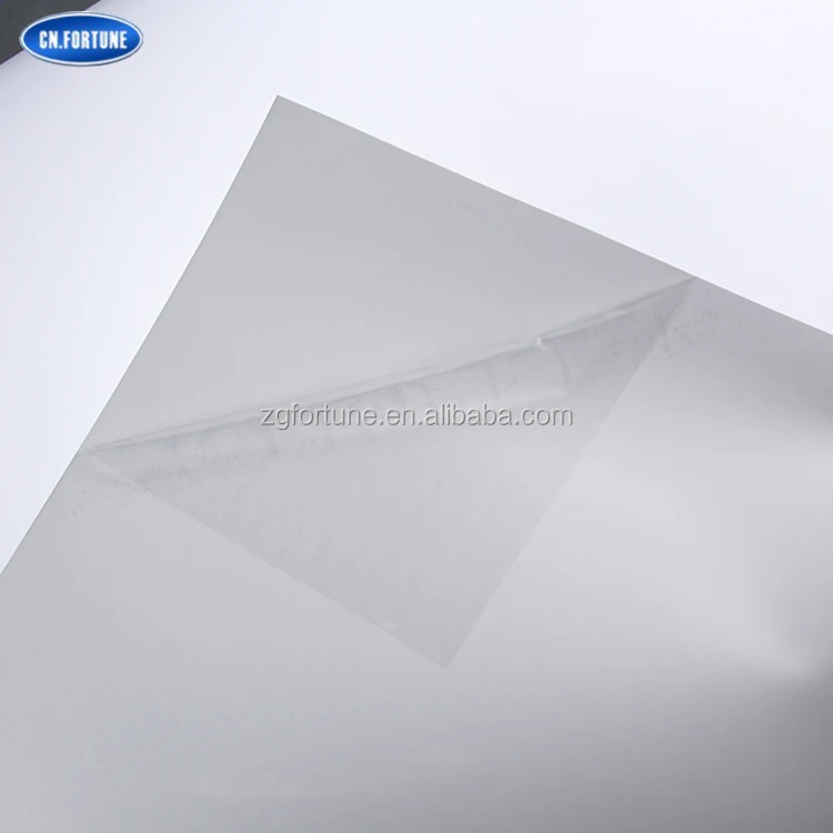 PP sticker (6).jpg