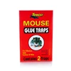 /product-detail/factory-wholesale-easy-working-catcher-mouse-rat-widely-use-plastic-mouse-trap-62377468814.html