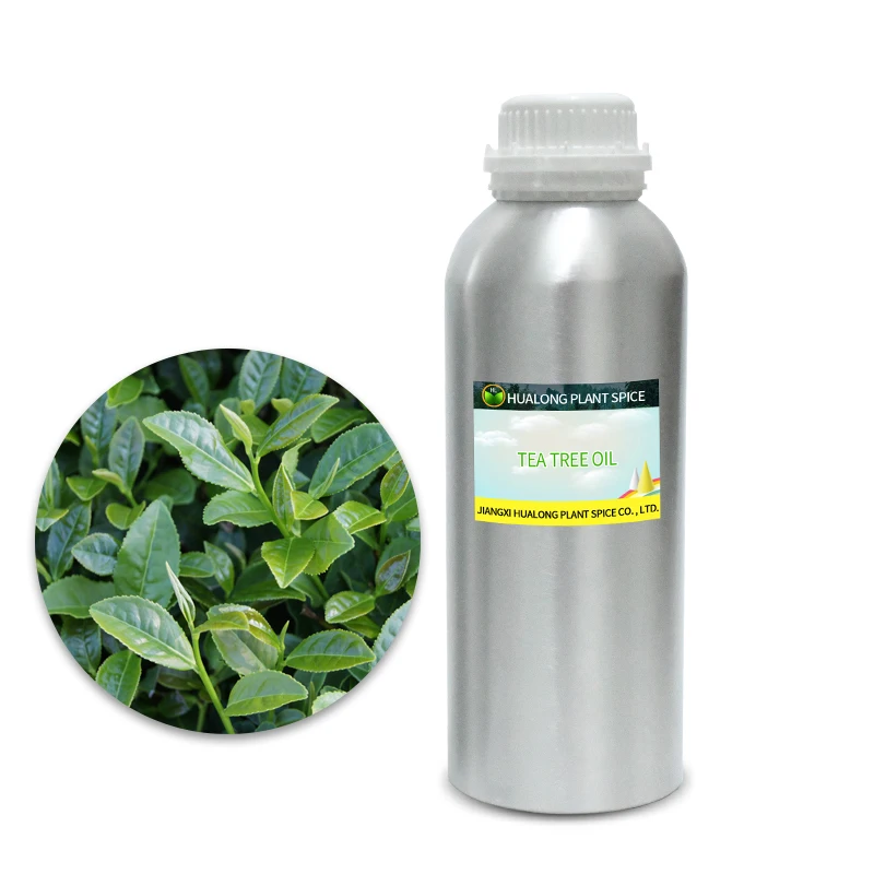 HOT SALE OEM Wholesale Food Grade Tee Tree Essential Oil Skincare Health Care Products 100 % Pure Nature Bottle Green 100 Pieces
HOT SALE OEM Wholesale Food Grade Tee Tree Essential Oil Skincare Health Care Products 100 % Pure Nature Bottle Green 100 Pieces