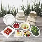 china manufacturer 100% eco bagasse tableware with fda certificate