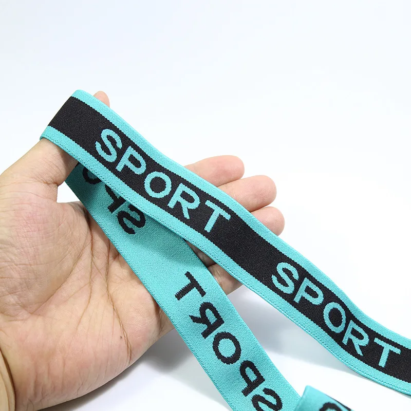 Wholesale high quality brand logo polyester nylon webbing custom jacquard elastic band
Wholesale high quality brand logo polyester nylon webbing custom jacquard elastic band
