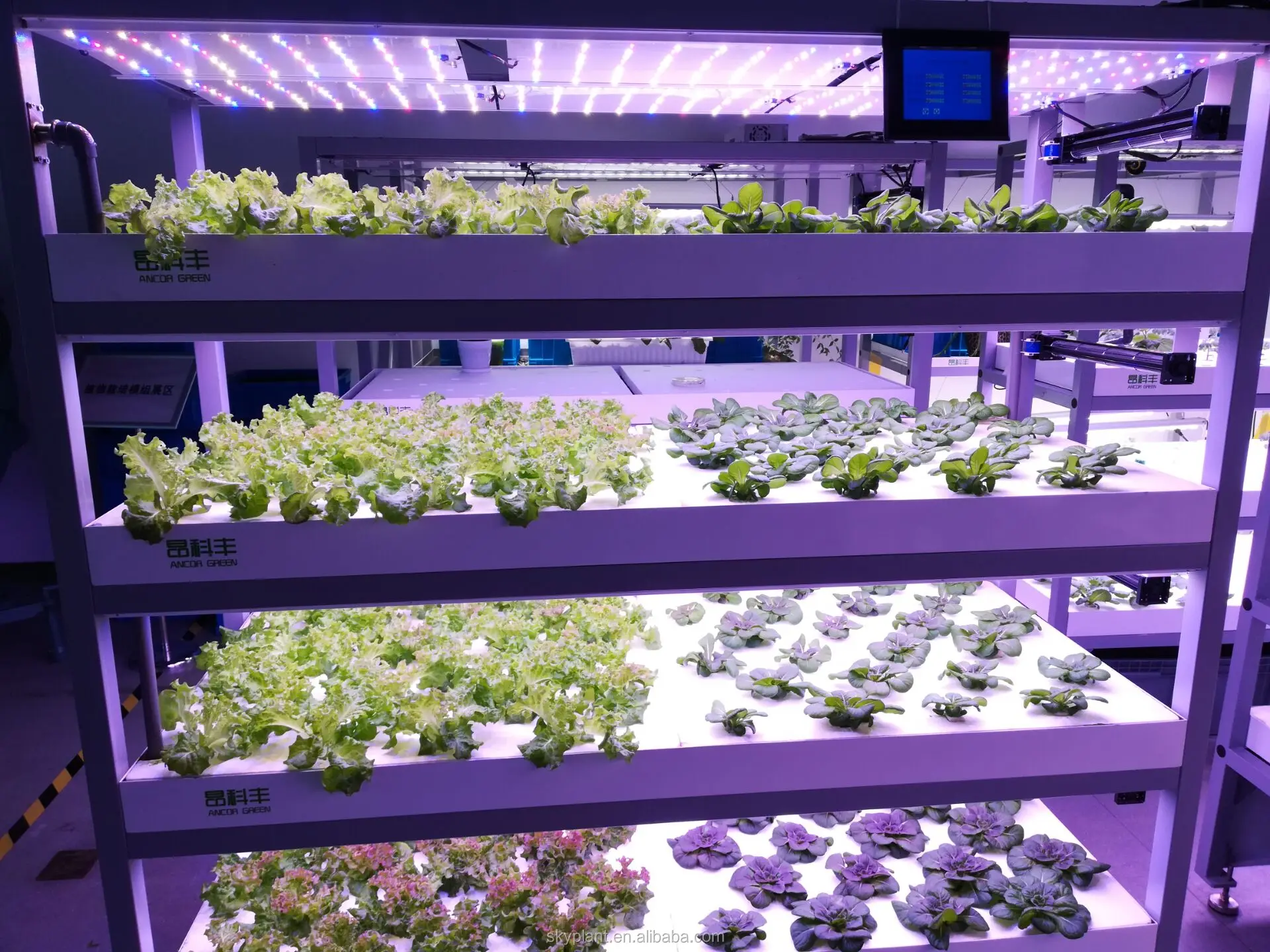 Hydroponic system container hydroponic farm plant factory Vertical Indoor Hydroponic Farms