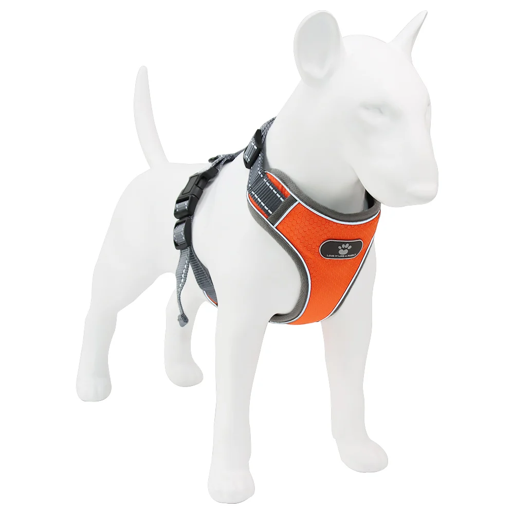 Cheaper Price Fashion Dog Chest Straps Adjustable Breathable Washable Pet Harness Custom Pattern Factory Wholesale, Orange ,sky blue,dark blue
Cheaper Price Fashion Dog Chest Straps Adjustable Breathable Washable Pet Harness Custom Pattern Factory Wholesale, Orange ,sky blue,dark blue