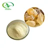 Factory Supply Rosin / Gum Rosin / Colophony Extract
