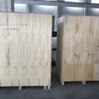Electric Convection Oven with Dough Proofer Machine for Factory
