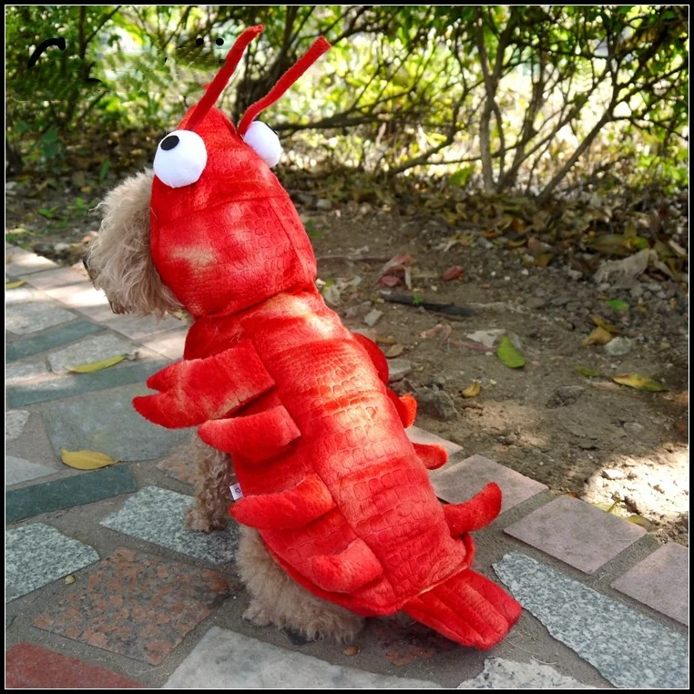 cute interesting cartoon Lobster pet costume Halloween cat and dog costume new fall winter dog costume
cute interesting cartoon Lobster pet costume Halloween cat and dog costume new fall winter dog costume