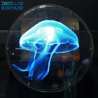 Holographic Fan Dsee-50sz with Acrylic Cover and WiFi Connection & Cloud Platform Hologram Display Fan