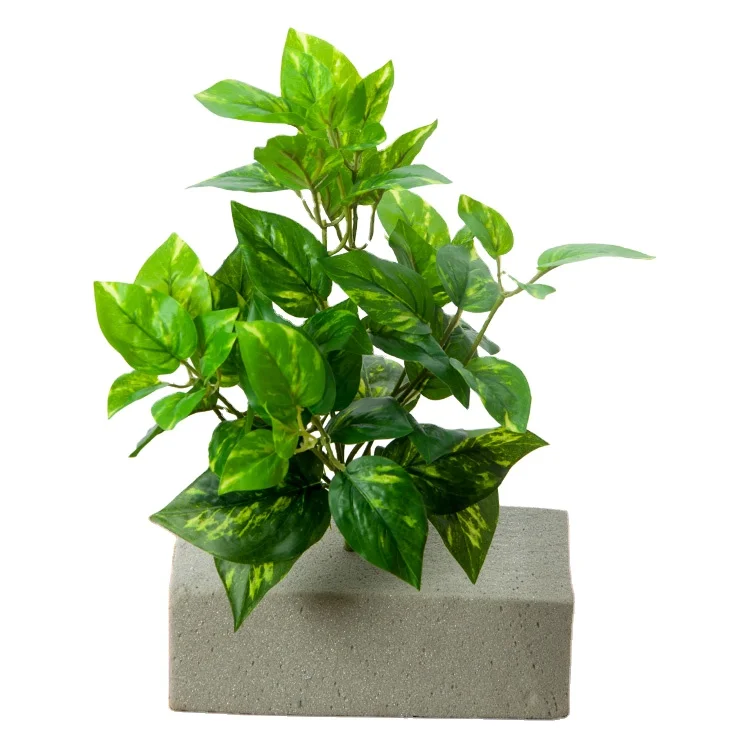 35 cm artificial small plant wall accessories decoration green autumn color red maple leaf creeper Artificial tree, Green or yellow edge
35 cm artificial small plant wall accessories decoration green autumn color red maple leaf creeper Artificial tree, Green or yellow edge