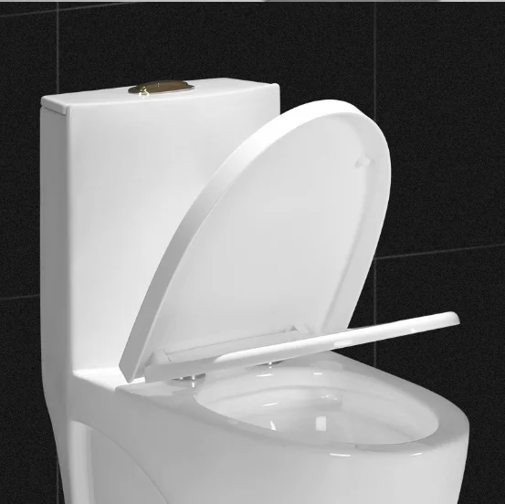 Tarpul Modern Design One-Piece Sanitary Ware Ceramic Siphon Toilet Bowl Hot Selling for Home and Hotel Use Washdown Flushing manufacture