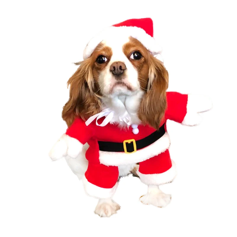 Ropa Para Perro Wholesale Dogs Cloth Chinese Style Pet Apparel Fancy Designer Autumn Winter Dog Christmas Clothes, Red
Ropa Para Perro Wholesale Dogs Cloth Chinese Style Pet Apparel Fancy Designer Autumn Winter Dog Christmas Clothes, Red