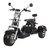 /product-detail/patinete-electrico-de-tres-ruedas-fat-tire-electric-tricycle-mobility-motocicleta-60833868535.html