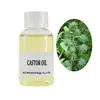 /product-detail/private-label-pure-organic-castor-seeds-oil-for-hair-growth-in-bulk-62353164281.html