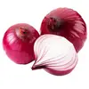 /product-detail/hot-selling-fresh-and-high-quality-onion-purple-onion-powder-62401644466.html