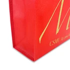 Design Pp Shopping Bag Factory Direct Low MOQ Simple Design Gold Foil Printing Gift Use Pp Non-woven Shopping Bag