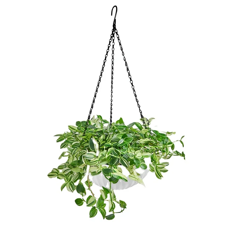 Wholesale Multiple Sizes Durable Plastic Hanging Basket Flower Pots Modern Design New Plastic Self Watering Pots, Red, white, blue, dark gray
Wholesale Multiple Sizes Durable Plastic Hanging Basket Flower Pots Modern Design New Plastic Self Watering Pots, Red, white, blue, dark gray
