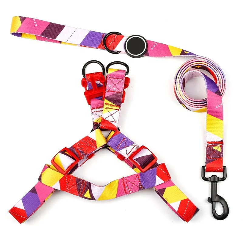 Nylon Printed Colorful Chest Back Set Pet Collars And Leashes Dog Leash Pet Collars For Hot Sale
Nylon Printed Colorful Chest Back Set Pet Collars And Leashes Dog Leash Pet Collars For Hot Sale
