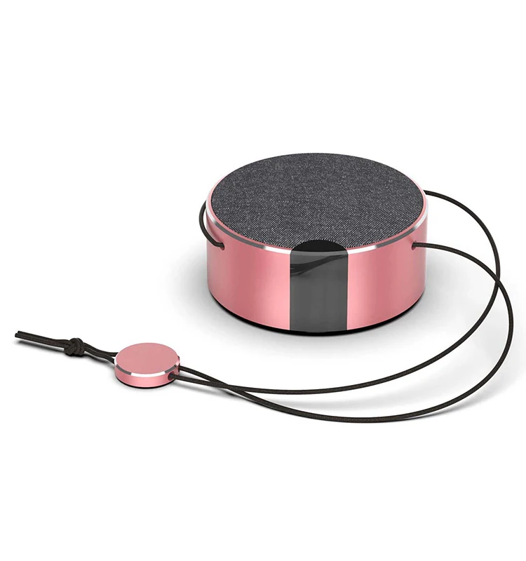 Portable Bluetooth Speaker With USB Charging Port Music Player Mini Speaker Amplifier Wireless - ANKUX.COM