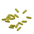 Powder Powder Quercetin Powder 100% Natural Sophora Japonica Extract Quercetin Bulk Quercetin Powder
