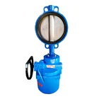 motorized butterfly valve flange end PN16