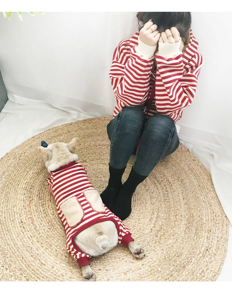 Clothes To Dog Matching Dog And Owner Clothes Custom, As picture