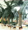 /product-detail/wholesale-artificial-plant-artificial-canary-date-palm-tree-indoor-outdoor-for-decoration-and-landscaping-1603402951.html