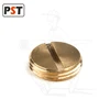 Brass Head Plug For BS Conduit Fitting