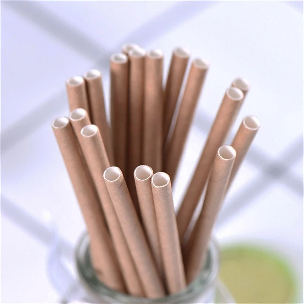 Hot Biodegradable 200mm Natural With Box For Straws Tube Paper Straw Fabric, Customized
Hot Biodegradable 200mm Natural With Box For Straws Tube Paper Straw Fabric, Customized