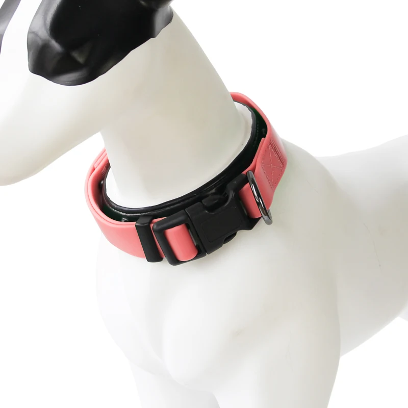 Dog collar 2021 Evernew Custom Adjustable Personalize Padded Comfort Pets Dog Collar
Dog collar 2021 Evernew Custom Adjustable Personalize Padded Comfort Pets Dog Collar