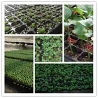 Tray Nursery Trays Non-toxic Polystyrene Cabbages Seeding Nursery Tray