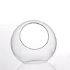 Wholesales Clear Glass Bulb Planter and Vase Home Decor