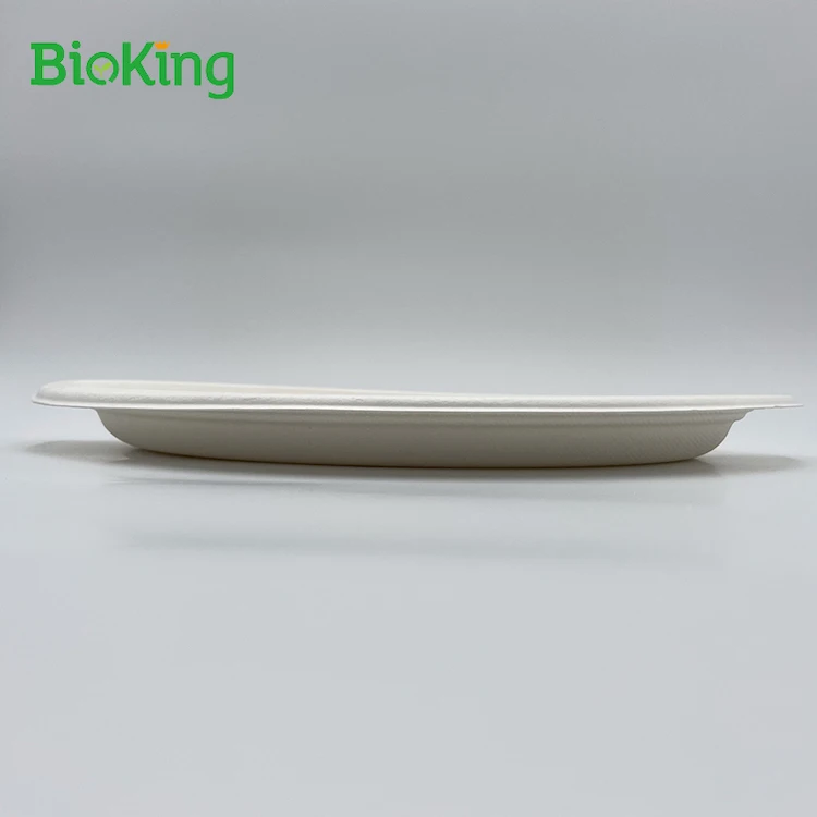 New arrival Biodegradable Sugarcane Bagasse Paper 9 Inch Round Plate, Bleached;natural
New arrival Biodegradable Sugarcane Bagasse Paper 9 Inch Round Plate, Bleached;natural