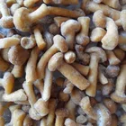 Fungus Dried Pholiota Nameko Pholiota Mushroom