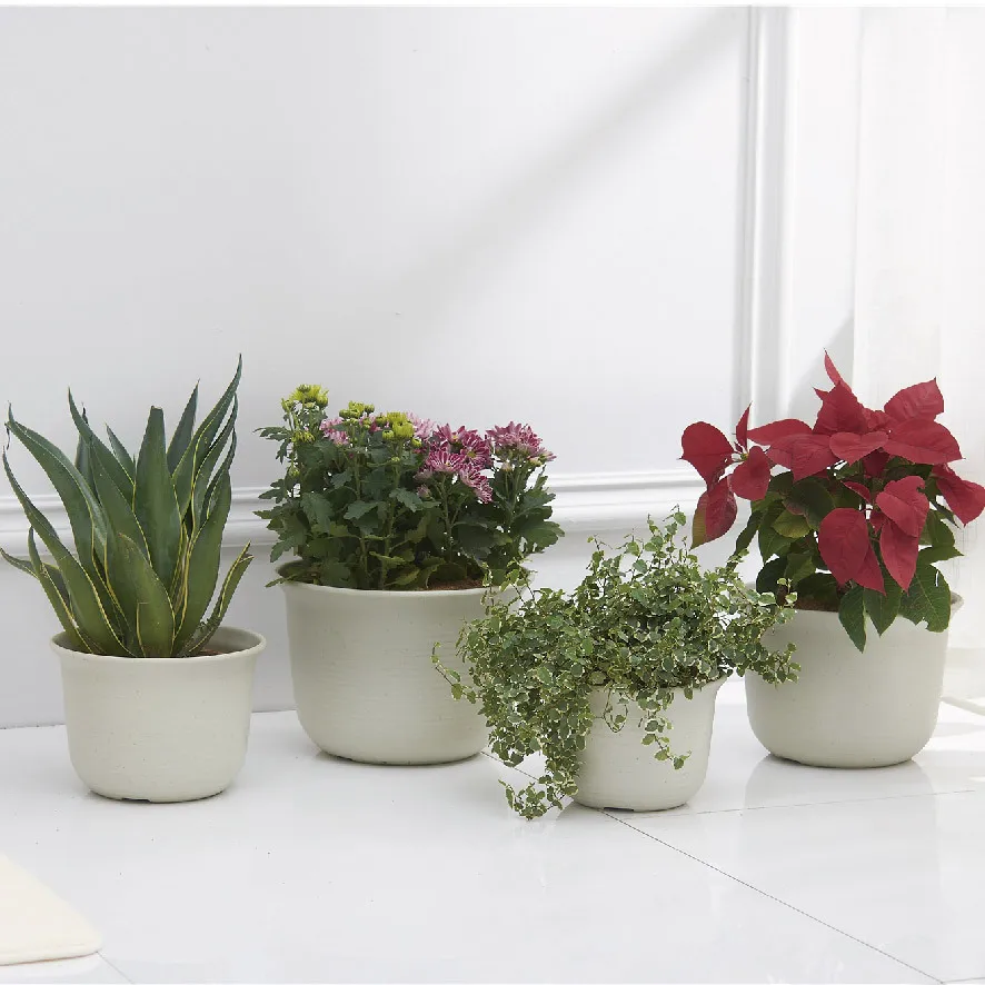 Plastic Flowerpot for Plant Indoor Plastic Planter Plastic Flower Pots For Indoor Balconies, Coloful
Plastic Flowerpot for Plant Indoor Plastic Planter Plastic Flower Pots For Indoor Balconies, Coloful
