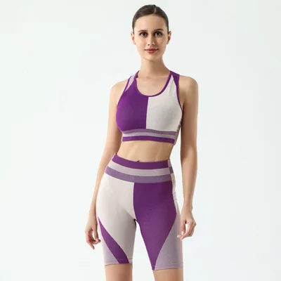 High Quality Wholesale Fall Custom Plus Size Running Sweatsuit Women Blank Jogging Suits Set Training Wear With Logo
High Quality Wholesale Fall Custom Plus Size Running Sweatsuit Women Blank Jogging Suits Set Training Wear With Logo