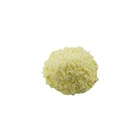 Wholesale Natural Plant Ginger Extract Powder Gingerol 1%