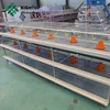 /product-detail/broiler-poultry-farm-equipment-of-h-type-hot-dipped-galvanized-broiler-cage-for-sale-for-malawi-chicken-farm-60693524146.html