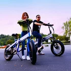 20 inch 48V 250W 500W 750W Fat tires Aluminum alloy Frame suspension Folding Electric Bike