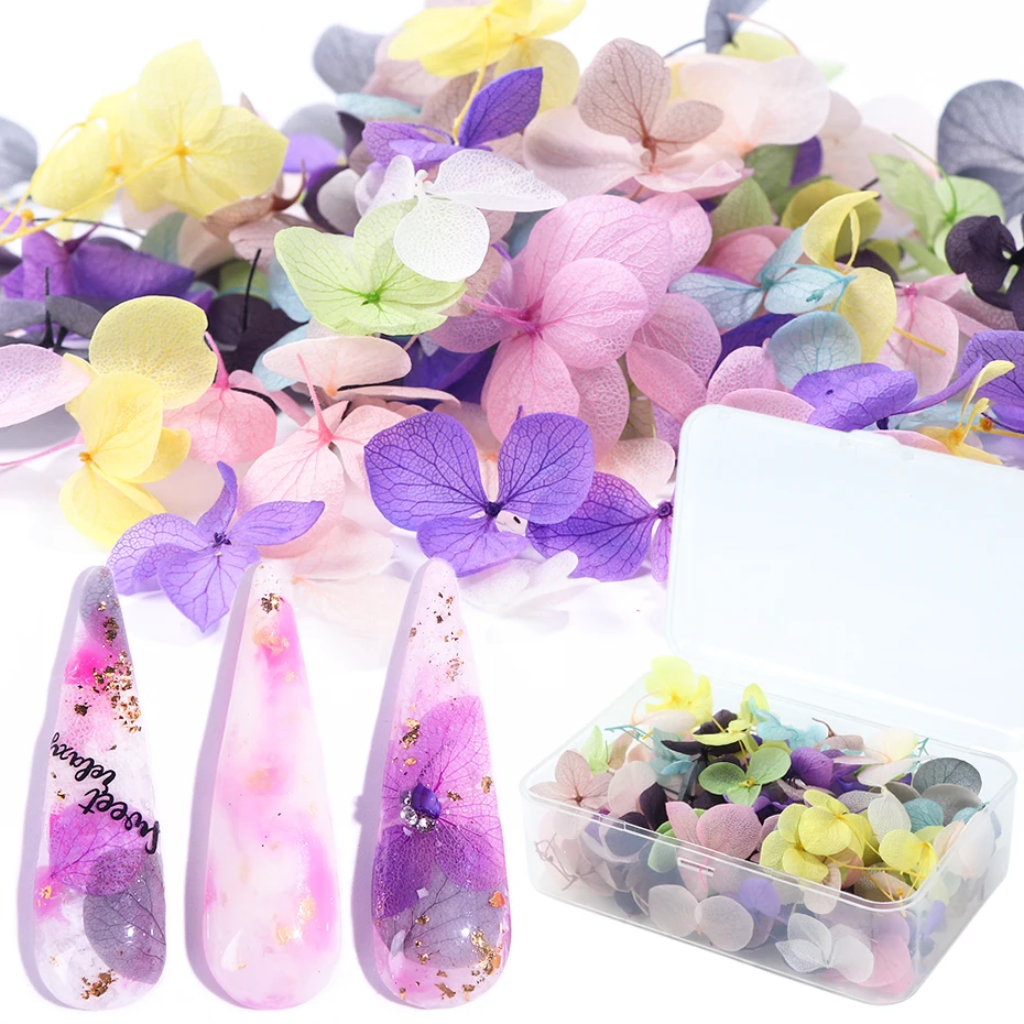100pcs Fasting Dried Flowers 3D Art Decorations Natural Floral Sticker Charms Nail Designs UV Gel Polish Accessories BE1505
100pcs Fasting Dried Flowers 3D Art Decorations Natural Floral Sticker Charms Nail Designs UV Gel Polish Accessories BE1505