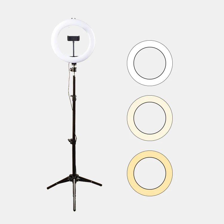 Wholesale 10 inch 26cm Photography Makeup Selfie LED Ring Light with Tripod Stand for Live Broadcast
Wholesale 10 inch 26cm Photography Makeup Selfie LED Ring Light with Tripod Stand for Live Broadcast