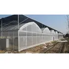 Vegetable seed and film greenhouse factory direct sale high quality China