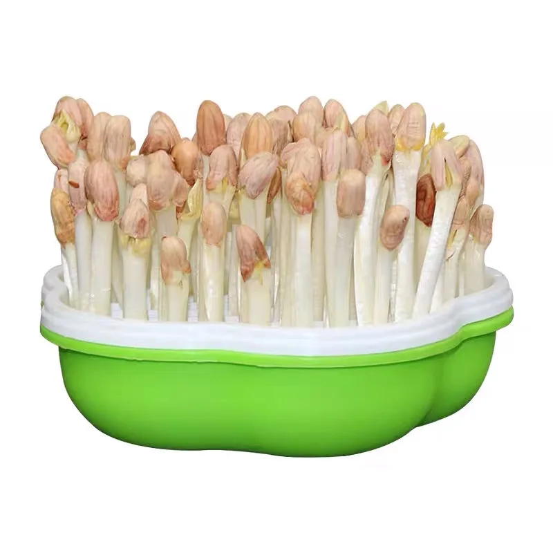 Home Using Healthy and Environmental Seed Fast Growing PP Sprout Tray In Flower Shape, Green+white+black
Home Using Healthy and Environmental Seed Fast Growing PP Sprout Tray In Flower Shape, Green+white+black