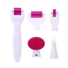6 in 1 Derma Roller Miconeedle Kit Derma Face Roller Derma Roller Titanium for Sale