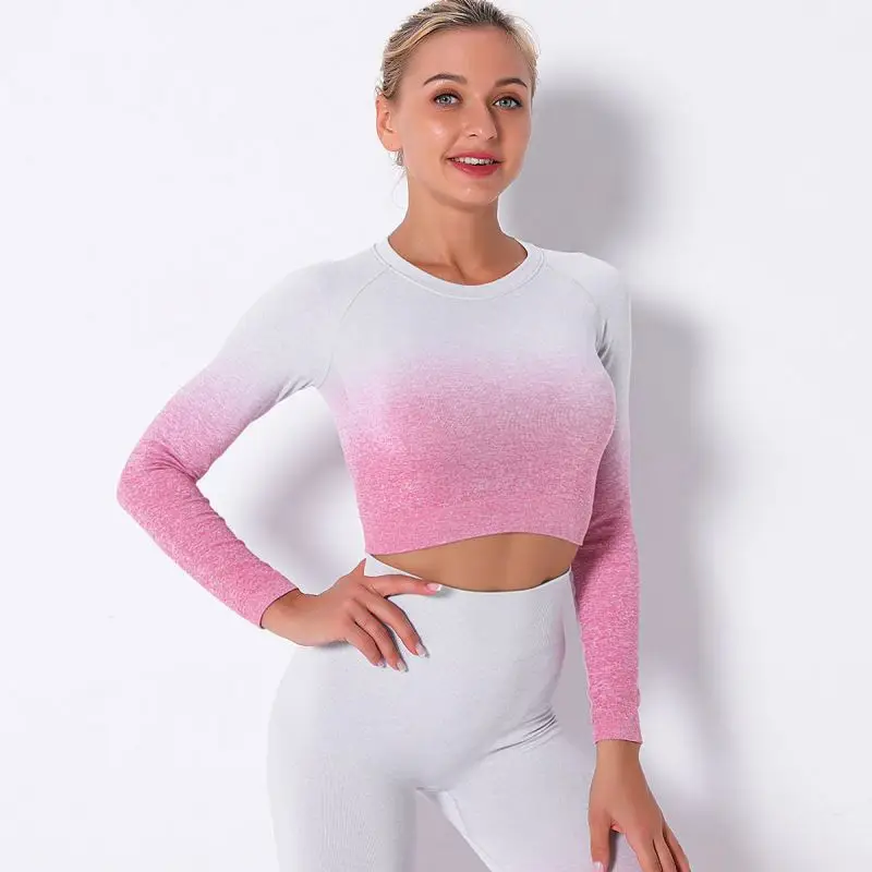Seamless Gradient Crop Top Fitness Yoga Top Sports Long Sleeve Yoga Tops Women, Black purple green blue
Seamless Gradient Crop Top Fitness Yoga Top Sports Long Sleeve Yoga Tops Women, Black purple green blue