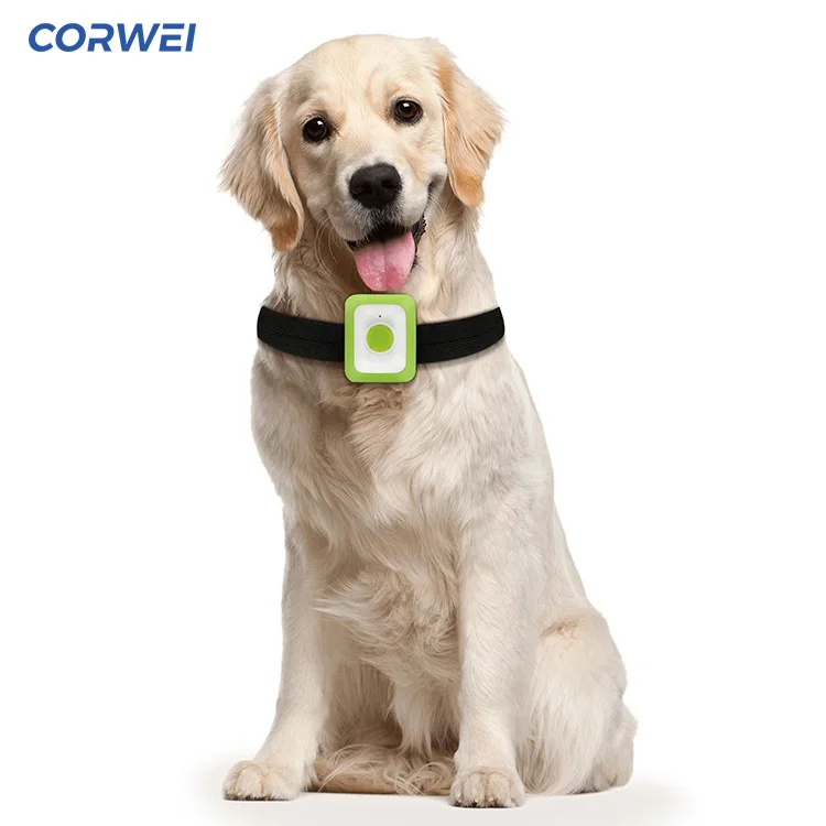 Fast delivery the best portable gps tracking device dog gps tracking collar - ANKUX.COM