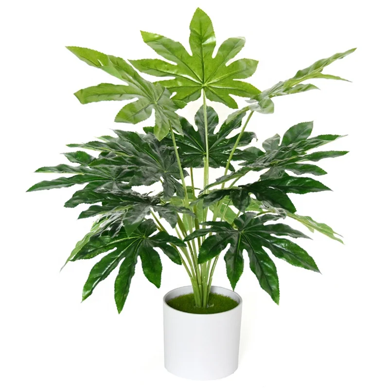 Factory sale high quality fake flower 45 cm Fatsia artificial bonsai plant for home decoration, Picture
Factory sale high quality fake flower 45 cm Fatsia artificial bonsai plant for home decoration, Picture