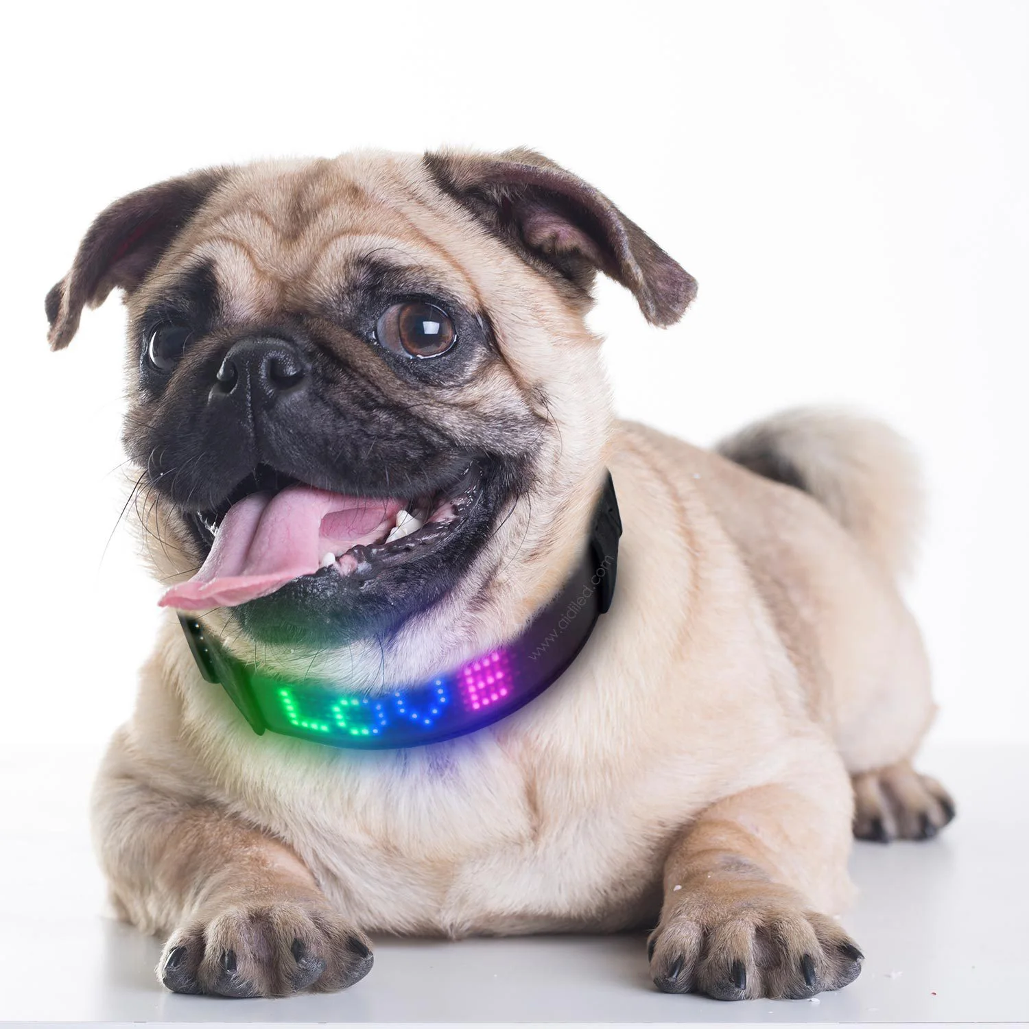 Smart APP Control Collar Clip Blue Collar De Perro Dog Blue tooth DIY Customize Led Pet Collar, Black
Smart APP Control Collar Clip Blue Collar De Perro Dog Blue tooth DIY Customize Led Pet Collar, Black
