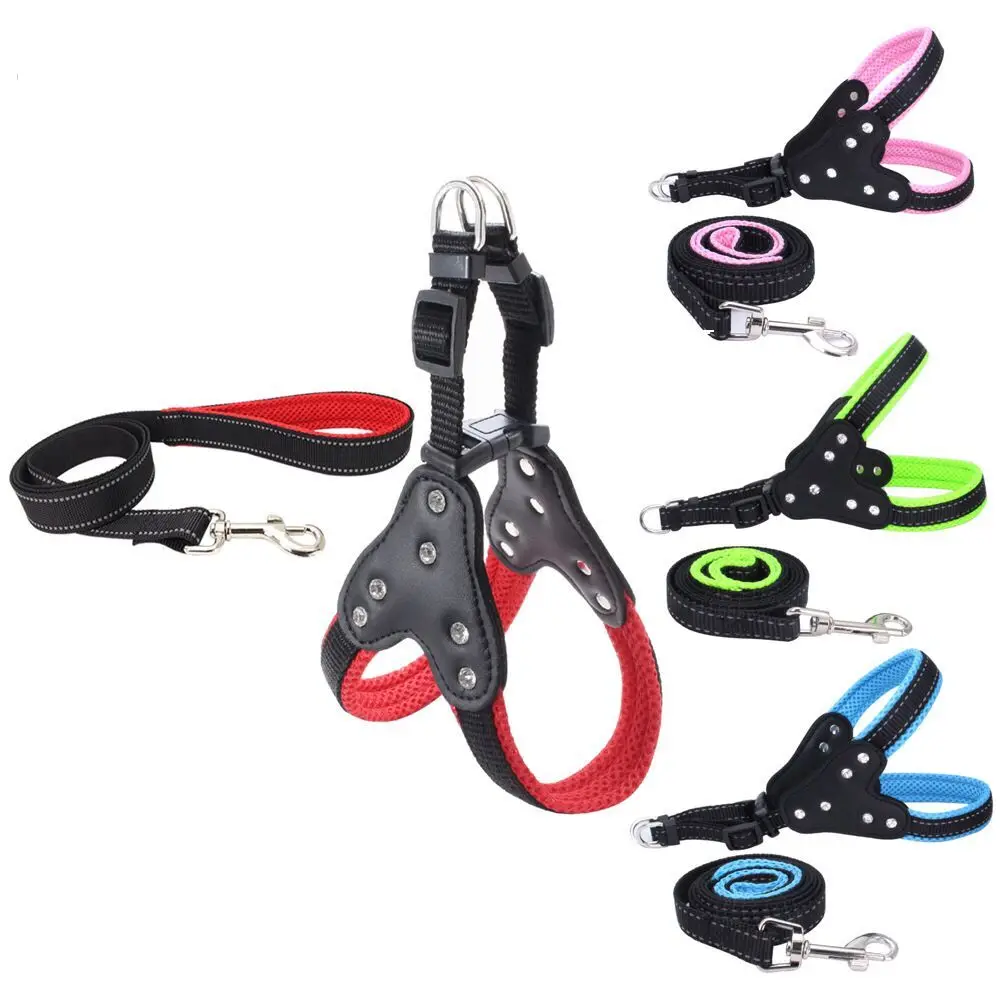 Eco Friendly Personalized Reflective Dog Leash Collar Outdoor Safety Dog Harness Luxury Adjustable Dog Leash, Colorful
Eco Friendly Personalized Reflective Dog Leash Collar Outdoor Safety Dog Harness Luxury Adjustable Dog Leash, Colorful
